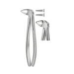 Tooth Forceps