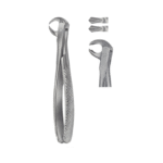 Tooth Forceps