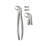 Tooth Forceps