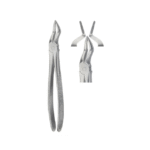 Tooth Forceps